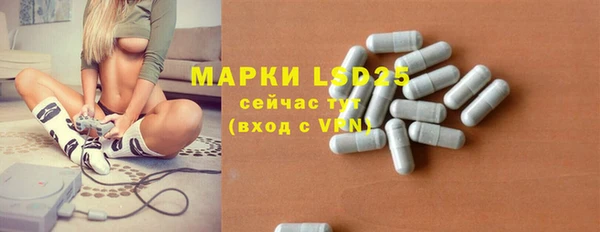 шишки Дмитровск