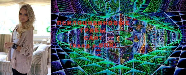мяу мяу мука Балахна