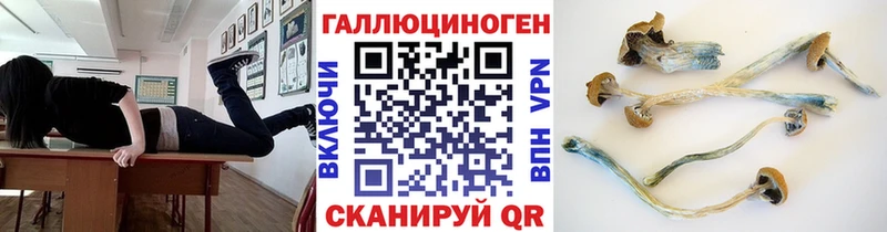 hydra ссылки  Пучеж  Галлюциногенные грибы MAGIC MUSHROOMS  купить закладку 